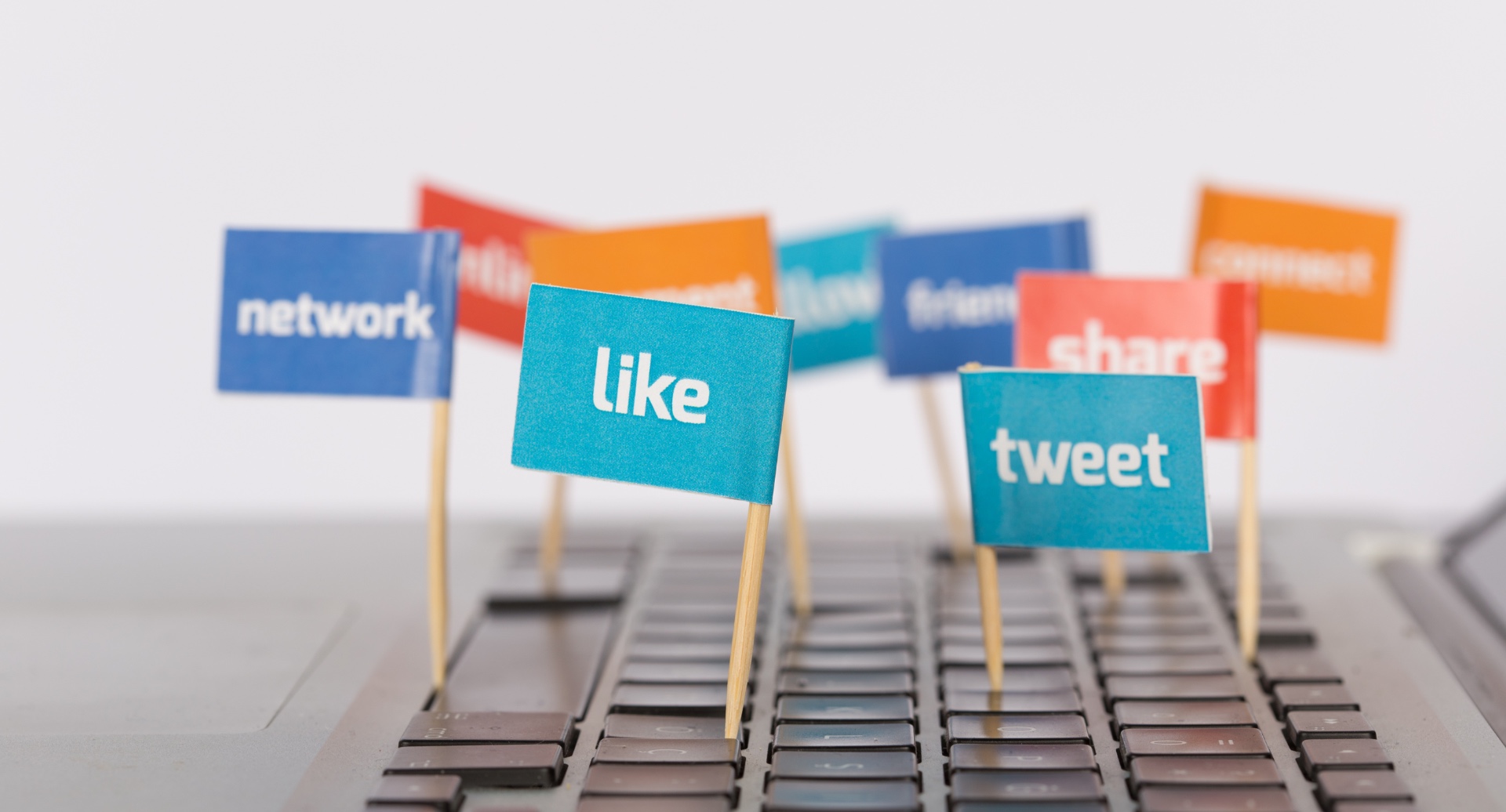 Social Media Presence